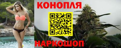 стафф Коммунар