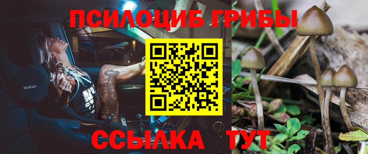 Псилоцибиновые грибы прущие грибы  Вход с VPN  Псилоцибиновые грибы Psilocybe  Кириши 