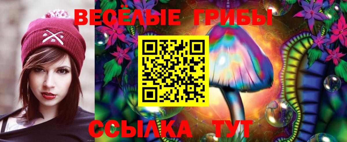 Псилоцибиновые грибы мицелий Кириши